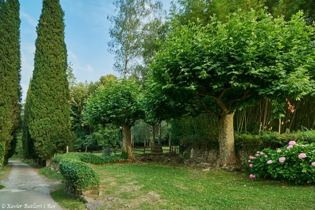 Apartamentos Fonda Finet ซานต์เฟลิอู เด ปายารอลส์ ภายนอก รูปภาพ